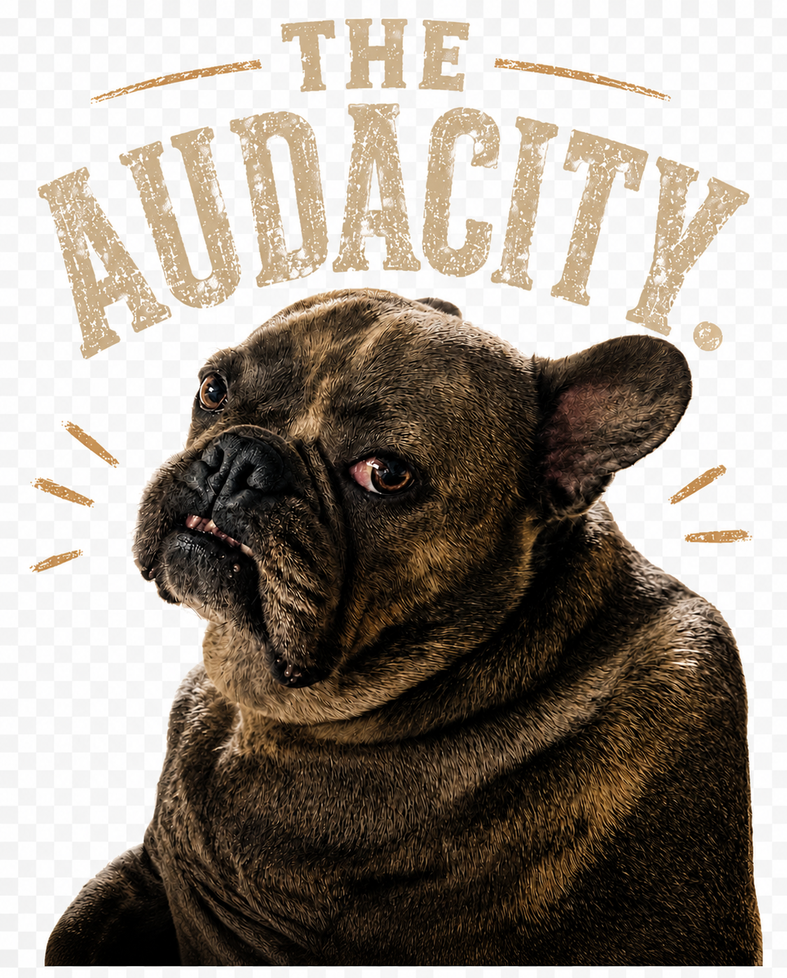 Judgmental Frenchies