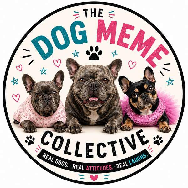 The Dog Meme Collective